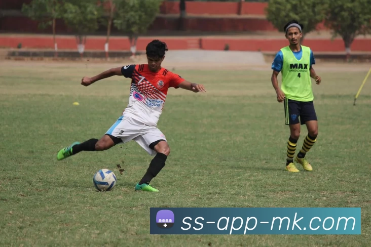 多媒体互动体验